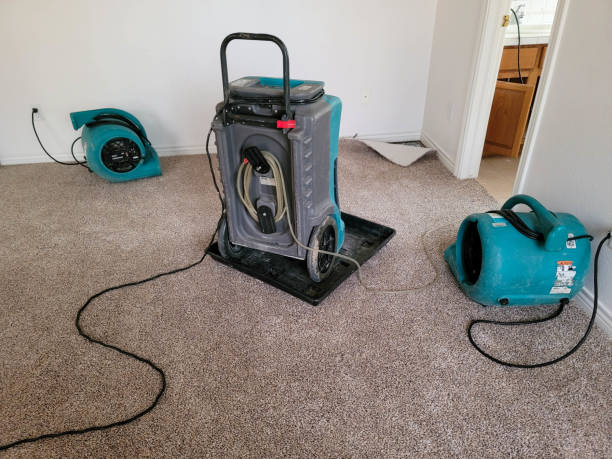 Best Carpet water damage restoration  in Burnt Mills, MD