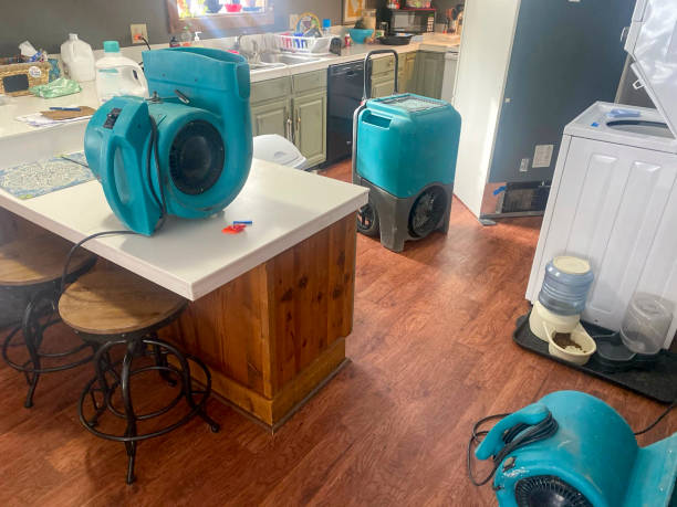 Best Water damage mitigation services  in Burnt Mills, MD