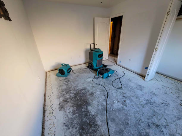 Best Professional water damage repair  in Burnt Mills, MD