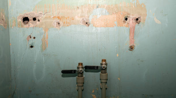 Best Sewage cleanup and water damage restoration  in Burnt Mills, MD