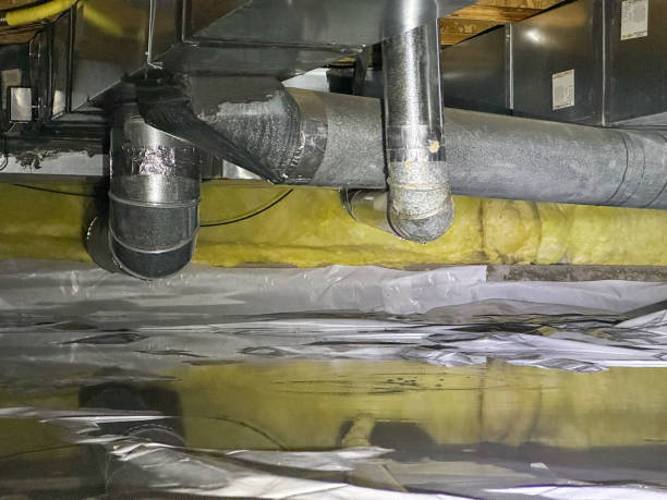Best Water damage restoration process  in Burnt Mills, MD