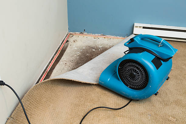 Best Local water damage restoration  in Burnt Mills, MD